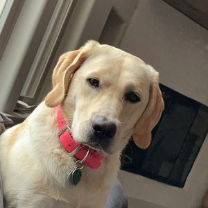 Meet your Posher, Hailey